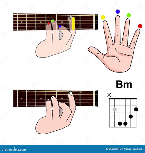Guitar Chord Basic And Hand Position For Guitar Chord Vector Freestyle