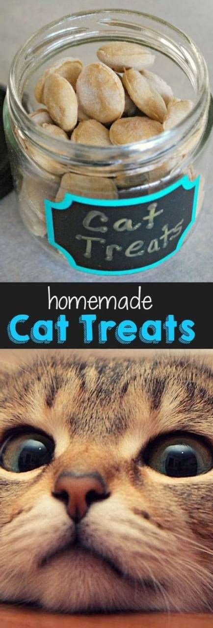 From cat tents and teepees to toys and treats, these diy pet ideas will have you making things immediately. 16 ideas gifts diy easy friends #friends #gifts #ideas ...