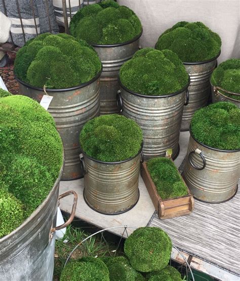 Moss Is On Trend See A Few Of My Finds From Round Top — Designed