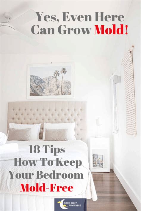 Check spelling or type a new query. A Full Guide On How To Prevent Mold in Your Bedroom | Good ...