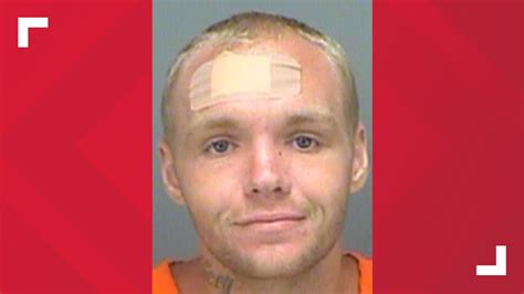 pinellas sheriff man accused of shooting his older brother