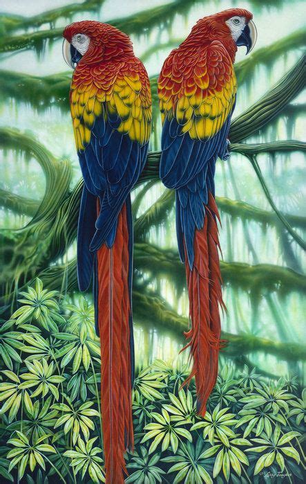 Scarlet Macaws Poster By Jq Licensing Macaw Art Colorful Parrots