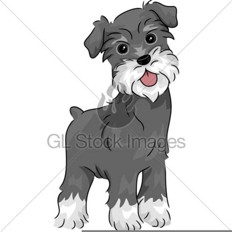 Free Schnauzer Clipart Free Images At Clker Com Vector Clip Art Online Royalty Free