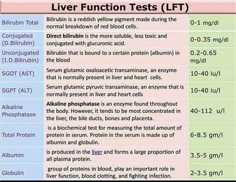 Liver Test Medical Technology Medical School Essentials Nursing Tips