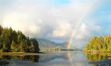 Stay tuned and check out our story feed to find out what's next for jamie's rainforest inn. Jamie's Rainforest Inn - Tofino | Canadian Affair