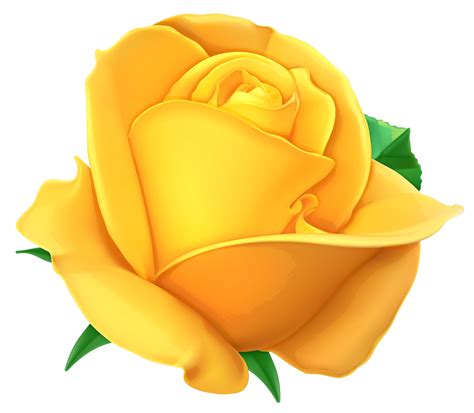 Free Yellow Rose Clipart Clipart Best