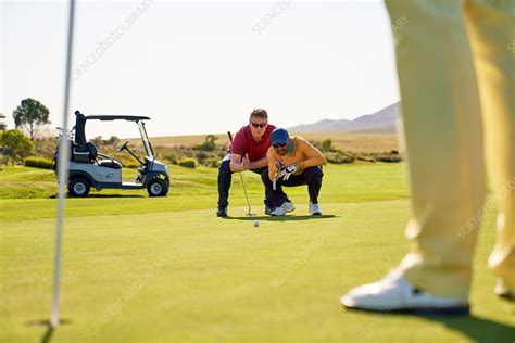 Male Golfers Planning Putt On Sunny Golf Greens Stock Image F028
