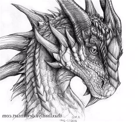 Top 30 Stunning And Realistic Dragon Drawings Mashtrelo