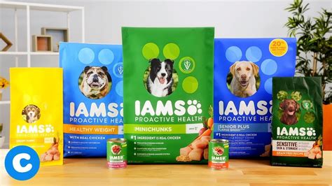 Is Iams Good For Your Dog