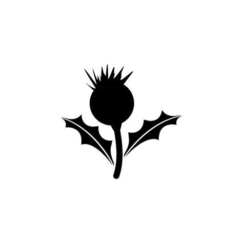 370 Thistle Icon Stock Illustrations Royalty Free Vector Graphics