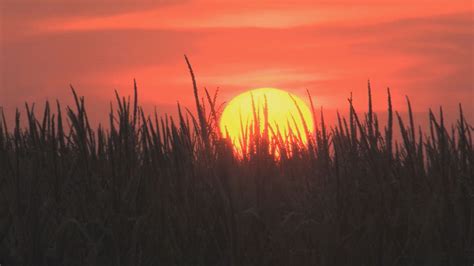 Summer Solstice Begins Wednesday