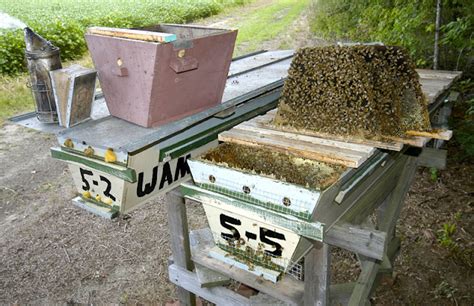 Che Guebee Apiary 200 Top Bar Hives Beekeeper