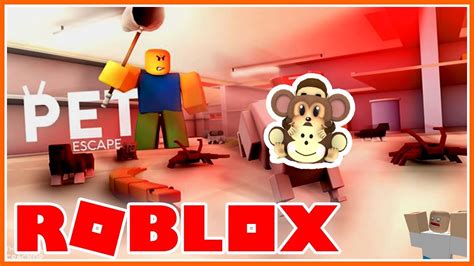 Become A Pet In Roblox Lets Win Pet Escape Free Testing Youtube