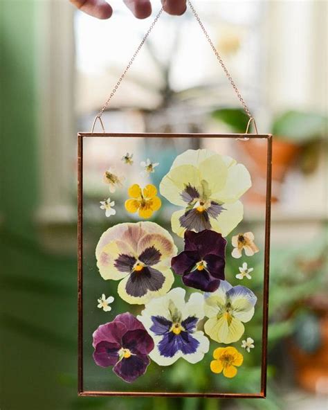 How To Make Pressed Flower Frames Craft Projects For Every Fan