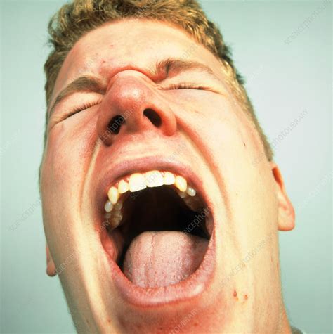 Face Of A Man Screaming In Pain Or Rage Stock Image M2450437