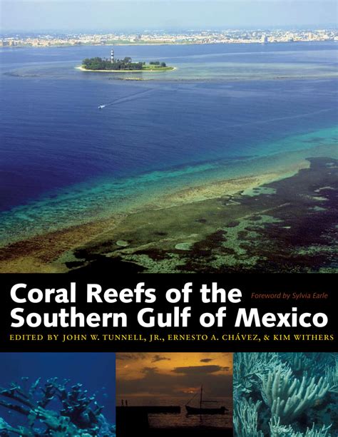 Pdf Coral Reefs Of The Southern Gulf Of Mexico