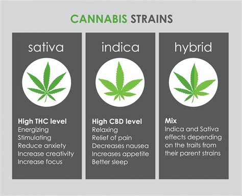 The Only Guide For Indica Sativa And Hybrid Strains Whats The