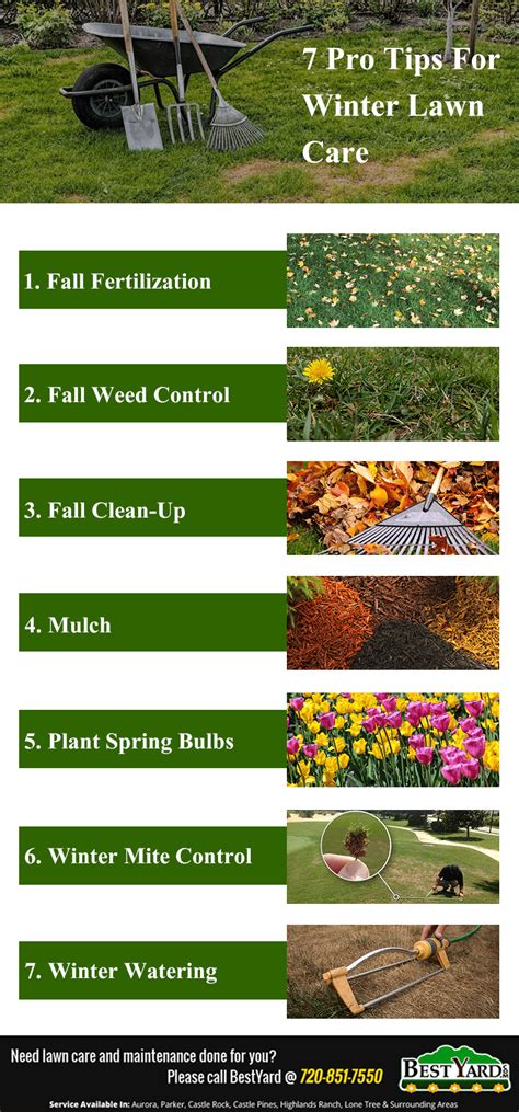 7 Pro Tips For Winter Lawn Care