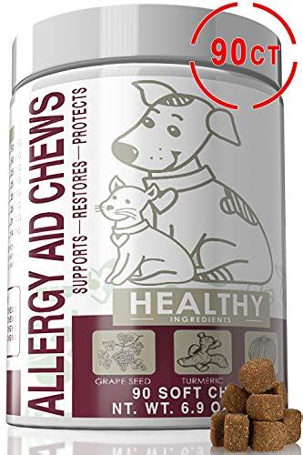 Best Dog Allergy Supplement Where To Buy