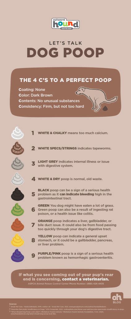 Be A Turd Nerd Study This Healthy Dog Poop Chart Oh Blog