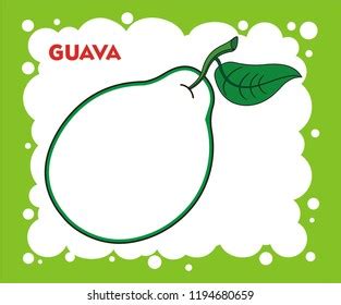 Fresh guava fruits (tropical fruit) sliced. 33 Guava Juice Coloring Pages - Free Printable Coloring Pages