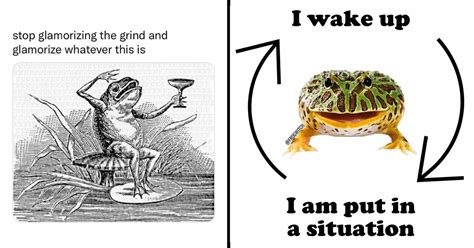 A Quaint Basket Of Frog Memes For Frog Enthusiasts Flipboard