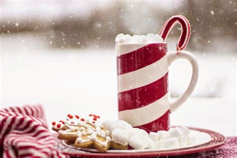 Free Images : snow, hot chocolate, meal, food, red, produce, holiday