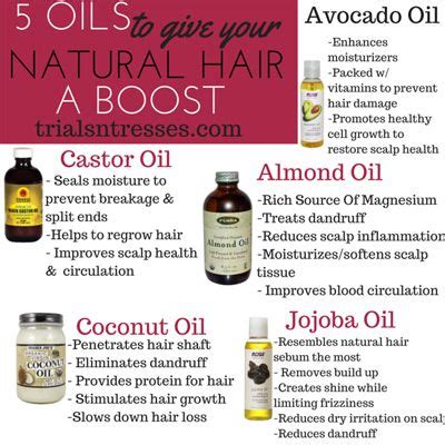 Oils To Help Grow Your Natural Hair Natural Hair Styles Natural Hair Growth Healthy