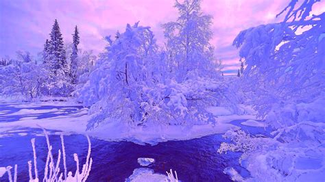 River Between Frozen Snow Covered Trees During Winter With Sunset Hd