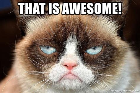 That Is Awesome Grumpy Cat Domination Meme Generator
