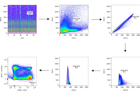 Beginner Gating Strategies To Start Analyzing Your Flow Cytometry Data Marissa Fahlberg Phd