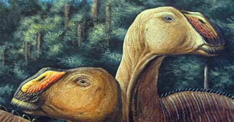 New Duck Billed Dinosaur Discovered