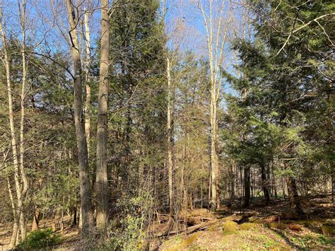 Curwensville, Clearfield County, PA Recreational Property, Timberland