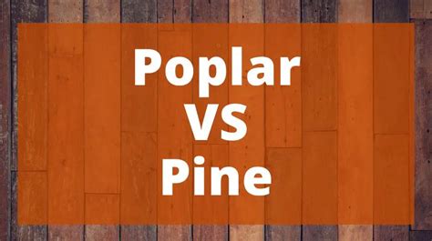Poplar Vs Pine Which Is Best Top Woodworking Advice
