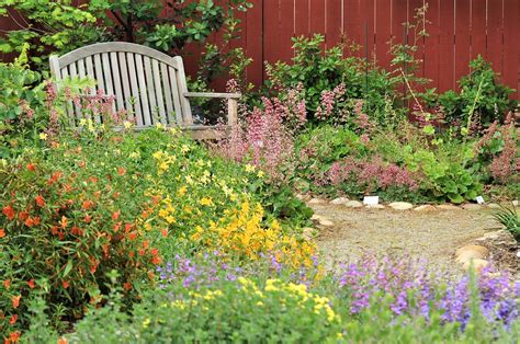 How To Use California Native Plants In The Garden — Studio1515napa