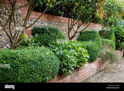 Hedge And Brick Wall High Resolution Stock Photography And Images Alamy