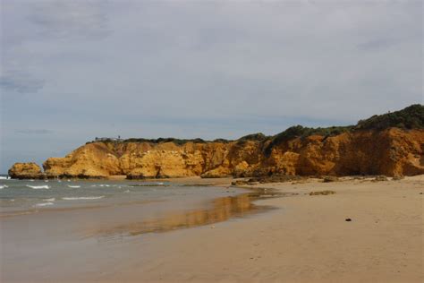 Torquay Surf Beach In Melbourne Australia Review