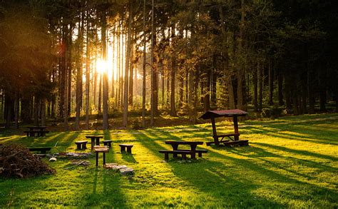 Hd Wallpaper Sunset In The Forest Several Brown Wooden Picnic Tables