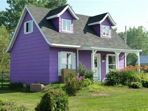Purple Roof And Purple Houses Pictures