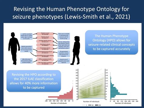 Introducing The Revised Human Phenotype Ontology Hpo A New Language