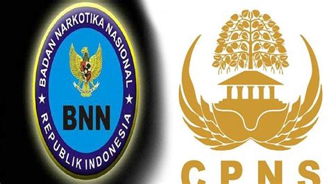 Dengan gaji tetap dan pekerjaan yang teratur, masyarakat menganggap bahwa pns merupakan pekerjaan yang baik untuk jangka panjang. RINCIAN Detail FORMASI CPNS BNN 2021 Semua Jurusan untuk ...