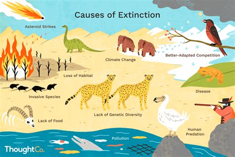 Top 10 Reasons Why Plants And Animals Go Extinct