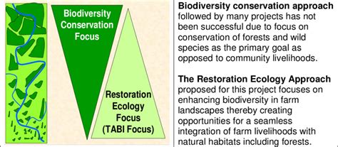 Biodiversity Conservation Vs Restoration Ecology Approaches To