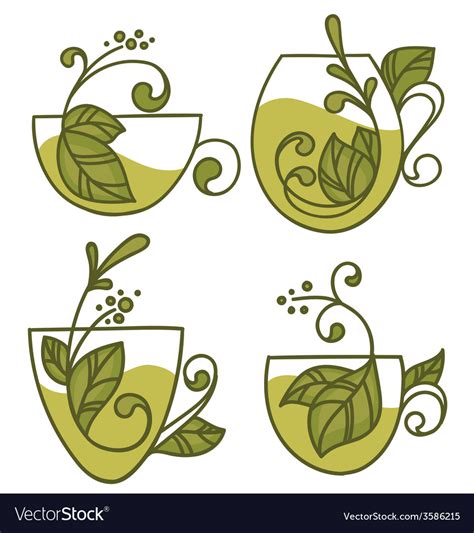 Herbal Tea Royalty Free Vector Image Vectorstock