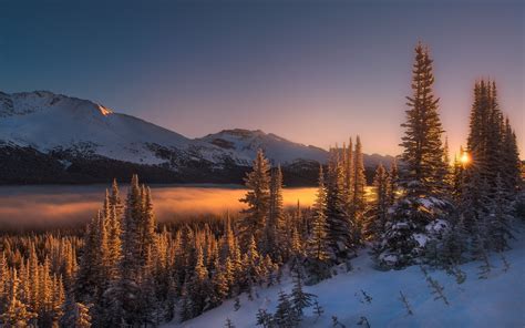 Nature Landscape Winter Sunrise Mist Mountains