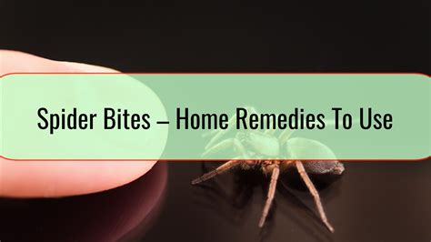 Spider Bites Home Remedies To Use • Health Blog