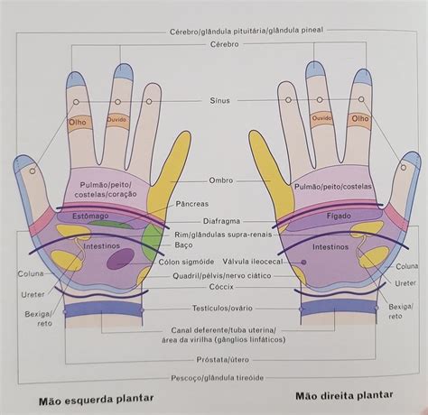 Reflexologia Das Mãos Como Fazer Massagem Nas Mãos Auto Massagem