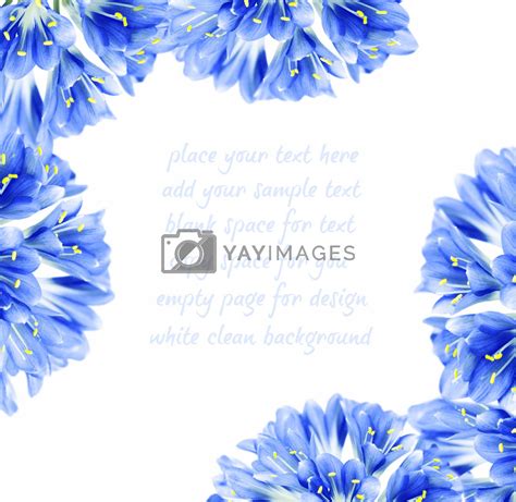 Blue Flower Border By Annaomelchenko Vectors And Illustrations With