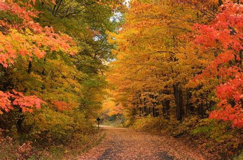 Michigan Named For Best Fall Foliage Travelgumbo