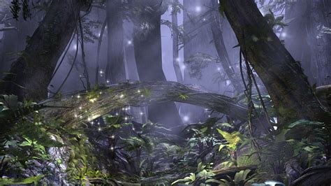 Enchanted Forest Wallpaper 1280x720 51376